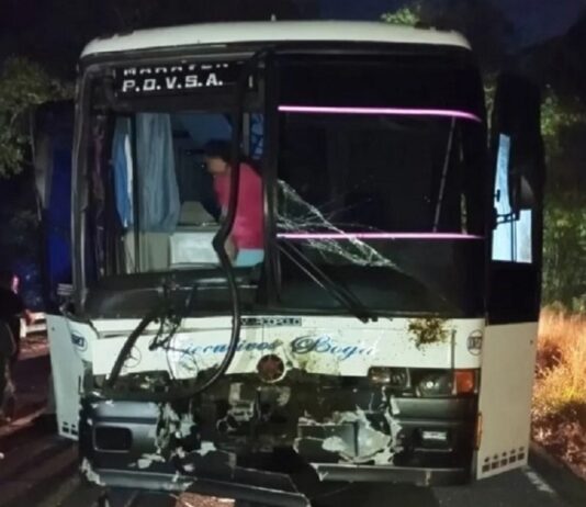 Carabobo| Expreso chocó con cuatro vacas