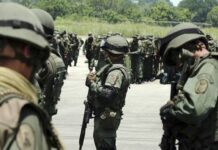 FANB incautó 212,8 kilos de cocaína e inutilizan aeronave no autorizada FANB incautó 212,8 kilos de cocaína e inutilizan aeronave no autorizada