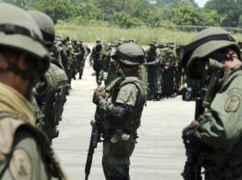 FANB incautó 212,8 kilos de cocaína e inutilizan aeronave no autorizada FANB incautó 212,8 kilos de cocaína e inutilizan aeronave no autorizada