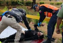 Miranda | Falleció motorizado tras impactar contra objeto fijo