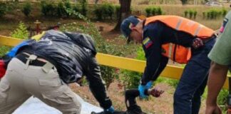 Miranda | Falleció motorizado tras impactar contra objeto fijo