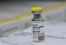 Fiebre amarilla | Estas son las medidas para Semana Santa 2026 Fiebre amarilla | Estas son las medidas para Semana Santa