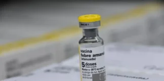 Fiebre amarilla | Estas son las medidas para Semana Santa 2026 Fiebre amarilla | Estas son las medidas para Semana Santa
