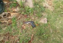 Municipio Acosta| Hombre muere en intervención legal