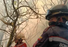 Táchira | Madre falleció tras quedar atrapada durante el incendio de su vivienda Táchira | Madre falleció tras quedar atrapada durante el incendio de su vivienda