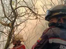 Táchira | Madre falleció tras quedar atrapada durante el incendio de su vivienda Táchira | Madre falleció tras quedar atrapada durante el incendio de su vivienda