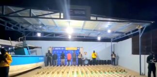 Los Taques| Incautan 1122 panelas de marihuana