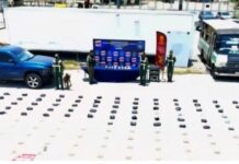 Municipio Carirubana| Incautan 446 panelas de marihuana