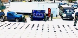 Municipio Carirubana| Incautan 446 panelas de marihuana