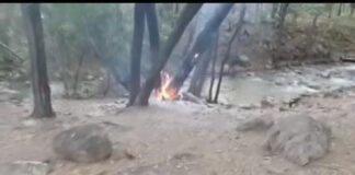 Vídeo| Denuncian daño ecológico en el balneario Meachiche