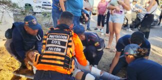 Punto Fijo| Lesionada motorizada en accidente