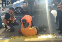 Punto Fijo| Murió adulto mayor arrollado en la avenida Jacinto Lara