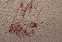 Nueva York | Hombre mató a su novia a puñaladas dentro de su apartamento Nueva York | Hombre mató a su novia a puñaladas dentro de su apartamento