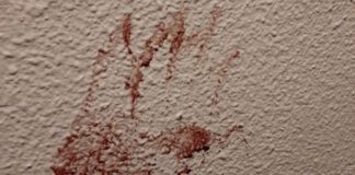 Nueva York | Hombre mató a su novia a puñaladas dentro de su apartamento Nueva York | Hombre mató a su novia a puñaladas dentro de su apartamento