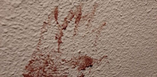 Nueva York | Hombre mató a su novia a puñaladas dentro de su apartamento Nueva York | Hombre mató a su novia a puñaladas dentro de su apartamento