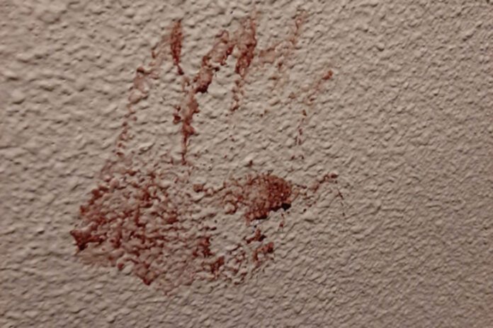 Nueva York | Hombre mató a su novia a puñaladas dentro de su apartamento