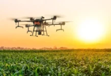 Productores agropecuarios piden al INAC levantar prohibición para el uso de drones Productores agropecuarios piden al INAC levantar prohibición para el uso de drones