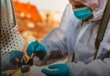 Caracas| Asesinó a septuagenaria durante robo