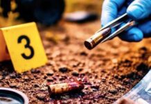 Punto Fijo| Detenido hombre por homicidio