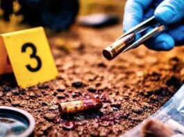 Punto Fijo| Detenido hombre por homicidio