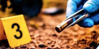 Punto Fijo| Detenido hombre por homicidio