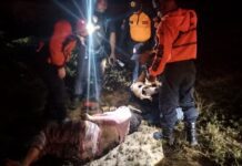 Coro- Punto Fijo| Mujer sufrió un traumatismo craneoencefálico severo en vuelco de camioneta