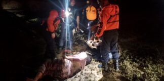 Coro- Punto Fijo| Mujer sufrió un traumatismo craneoencefálico severo en vuelco de camioneta