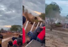 Zulia | Conductor implicado en accidente durante piques fangueros se entregó a la Policía Zulia | Conductor implicado en accidente durante piques fangueros se entregó a la Policía