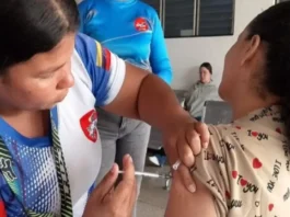 Estos cuatro estados, bajo vigilancia por brote de fiebre amarilla Estos cuatro estados, bajo vigilancia por brote de fiebre amarilla