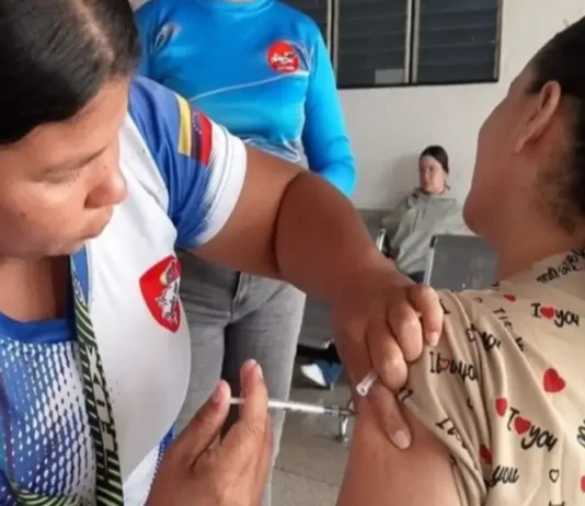 Estos cuatro estados, bajo vigilancia por brote de fiebre amarilla Estos cuatro estados, bajo vigilancia por brote de fiebre amarilla