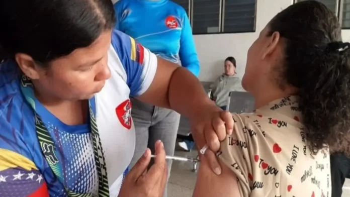 cuatro-estados-bajo-vigilancia-brote-fiebre-amarilla Estos cuatro estados, bajo vigilancia por brote de fiebre amarilla