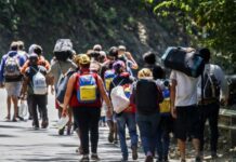 44,5% de los migrantes venezolanos evaluaría retornar al país «si mejoran las condiciones» 44,5% de los migrantes venezolanos evaluaría retornar al país "si mejoran las condiciones"