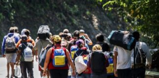 44,5% de los migrantes venezolanos evaluaría retornar al país «si mejoran las condiciones» 44,5% de los migrantes venezolanos evaluaría retornar al país "si mejoran las condiciones"
