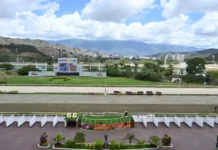 La actividad hípica durante el primer trimestre de 2026 La actividad hípica durante el primer trimestre de 2026