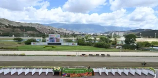 La actividad hípica durante el primer trimestre de 2026 La actividad hípica durante el primer trimestre de 2026
