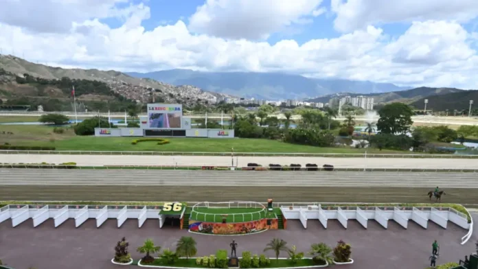 La actividad hípica durante el primer trimestre de 2026