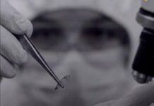 Lara| Hombre ahorcó a su pareja