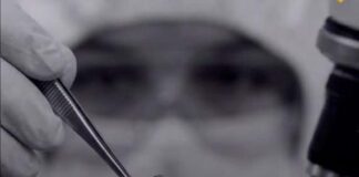 Lara| Hombre ahorcó a su pareja