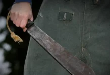 Miranda | Asesinó a su madre a machetazos mientras dormía Asesinó a su madre a machetazos mientras dormía