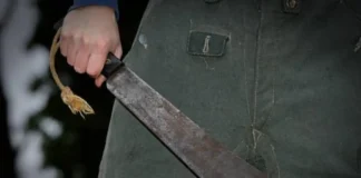 Miranda | Asesinó a su madre a machetazos mientras dormía Asesinó a su madre a machetazos mientras dormía