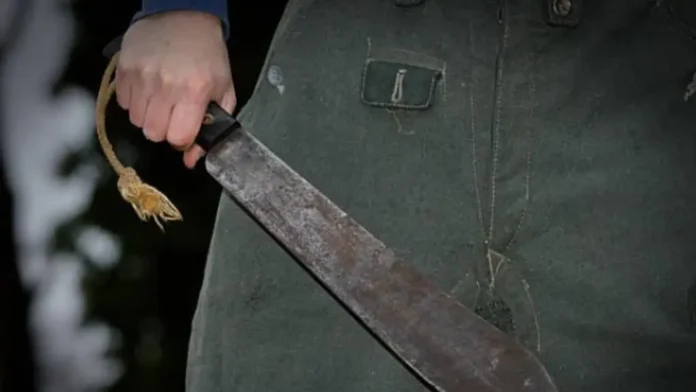 Asesinó a su madre a machetazos mientras dormía