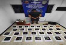 Táchira | Decomisan más de 400 kilos de marihuana camuflajeada entre hortalizas Táchira | Decomisan más de 400 kilos de marihuana camuflajeada entre hortalizas