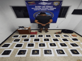 Táchira | Decomisan más de 400 kilos de marihuana camuflajeada entre hortalizas Táchira | Decomisan más de 400 kilos de marihuana camuflajeada entre hortalizas