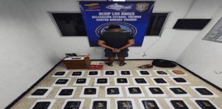 Táchira | Decomisan más de 400 kilos de marihuana camuflajeada entre hortalizas Táchira | Decomisan más de 400 kilos de marihuana camuflajeada entre hortalizas