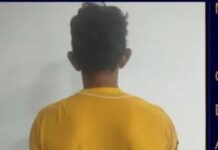 Punto Fijo| Solicitado por hurto