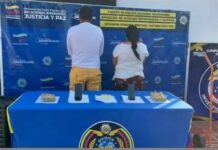Municipio Piritu| Dos detenidos con 260 panelas de marihuana
