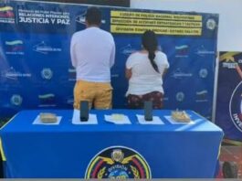 Municipio Piritu| Dos detenidos con 260 panelas de marihuana