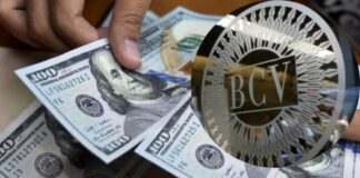 Así se cotiza el dólar y euro BCV para hoy 6 de abril Así se cotiza el dólar y euro BCV para hoy 6 de abril