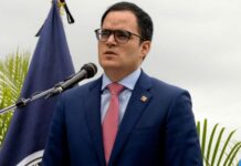 Todos los sectores de la economía están en crecimiento