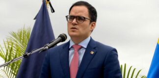 Todos los sectores de la economía están en crecimiento